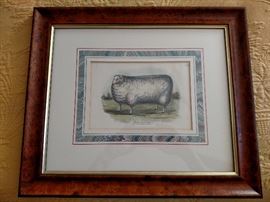 "Sheep Husbandry of the South" framed print
