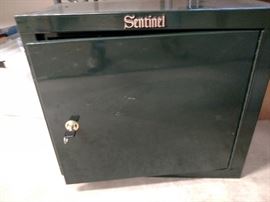 Sentinel safe