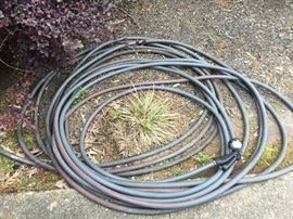 Hose - 1 of 4