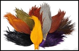 Just a sample of the many feathers in the sale. These are gorgeous Saddle Hackles.