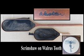 Wachter fishing nets.