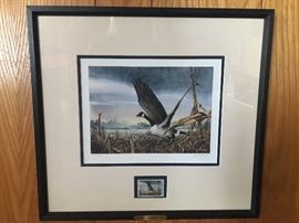 Ducks Unlimited - Single stamp  Ralph J McDonald  Signed and numbered DU 1982/5000