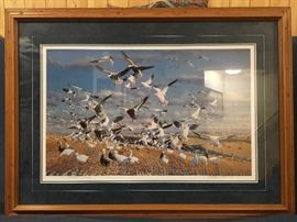 Snow Geese      Michael Steve         Artist Proof  37/95 