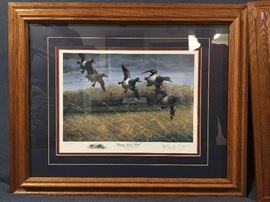 "Rainy River Bills" by Les Kouba                                               Signed and numbered  780/3000