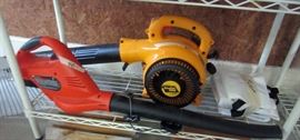 Electric and gas powered blowers
