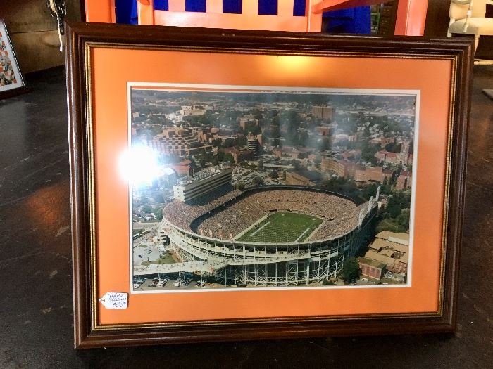 TN Vols Neyland Stadium framed picture