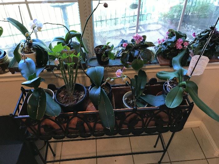 Plant Stand