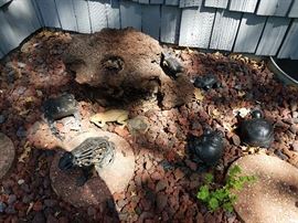 Frogs and Turtle Yard Art