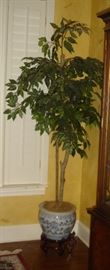 Ficus tree with fish bowl planter & stand