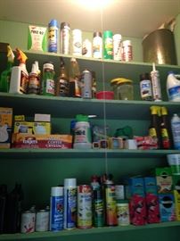 Variety of cleaning and gardening supplies