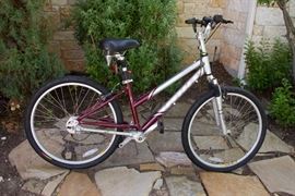 Cross 7 Zoom Incline Bike and Accessories:  $525.00