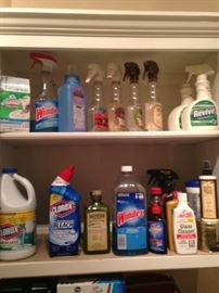 Large selection of cleaning supplies