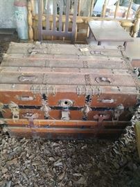 Great old trunks