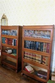 Widman barrister, lawyer stacking bookcases