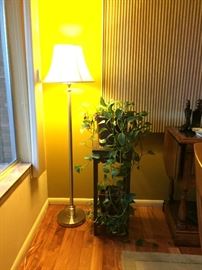 Floor Lamp, Plants, Plant Stand