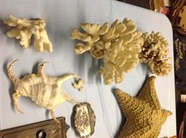 Coral & Starfish & shell