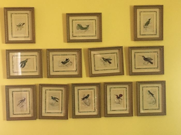 Set of framed Audubon  prints