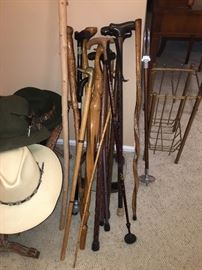 Great collection of canes & walking sticks!