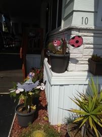 Potted plants and Pinwheels.
