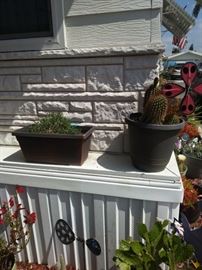Potted plants.