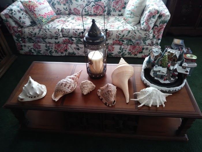 Coffee table and shells.