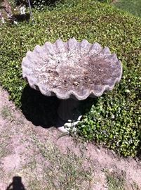 Bird bath