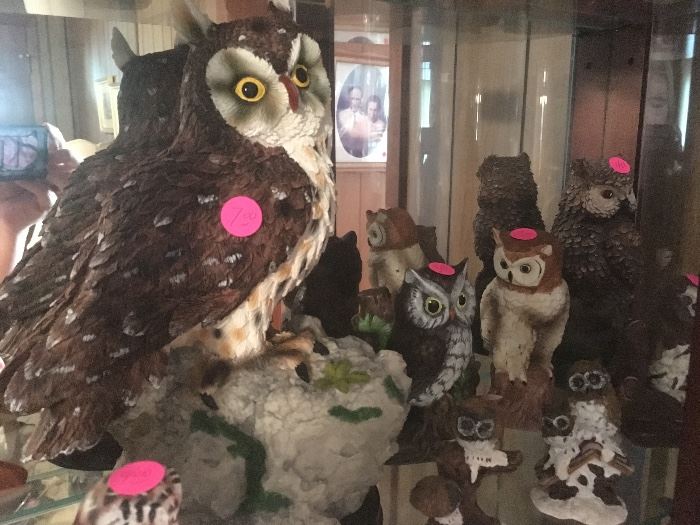 owl collection