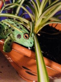Plant accessories 