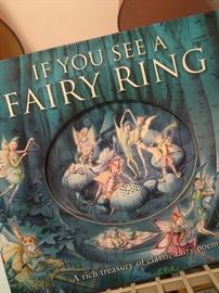 Beautiful and fun Fairy book
