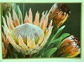 Hawaii postcard