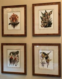 Set/4 Botanical Prints