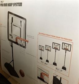 Pro Mini Hoop System 