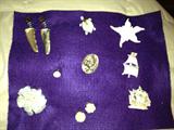 Colleciton of Pins & Earrings
