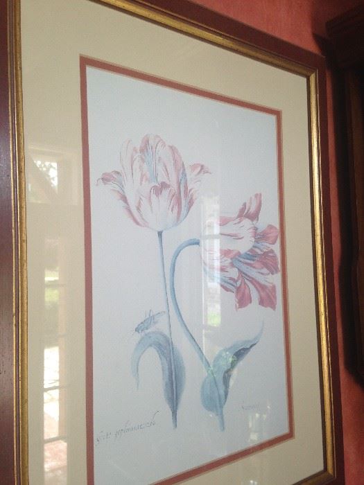 This botanical print has a framed companion.