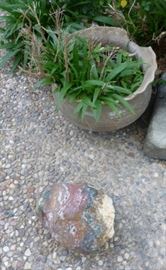 Potted plant and garden rock
