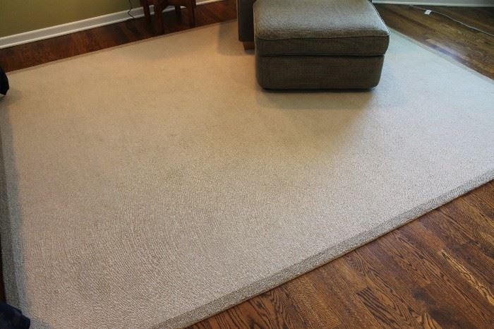 Room and Board rug