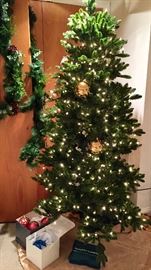 Hammer Schlemmer Tree