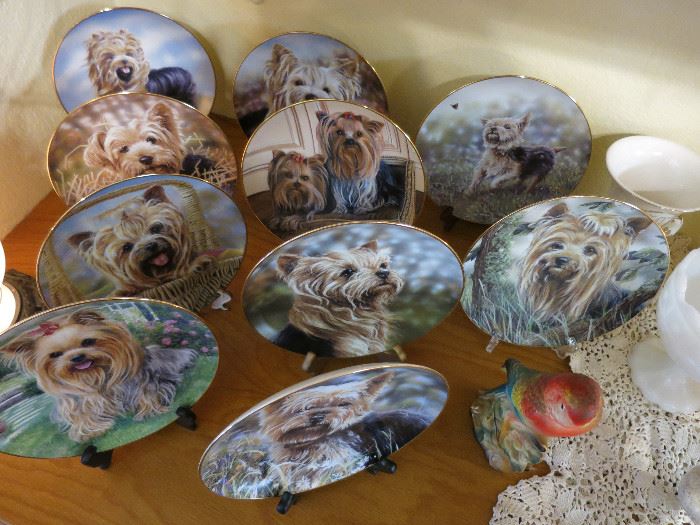 Yorkshire Terrier Danbury Mint Plates