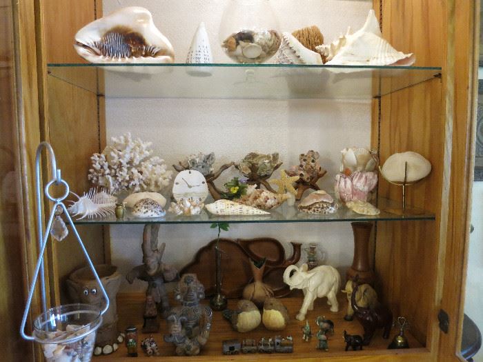 Shell And Elephant Collection.