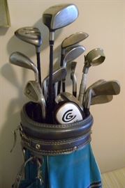 Leather golf bag with drivers and putters...