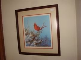 Desirable Cardinal by Owen Gromme, framed and matted