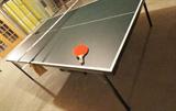 ping pong table