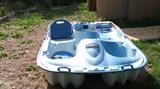 Pelican Paddle Boat