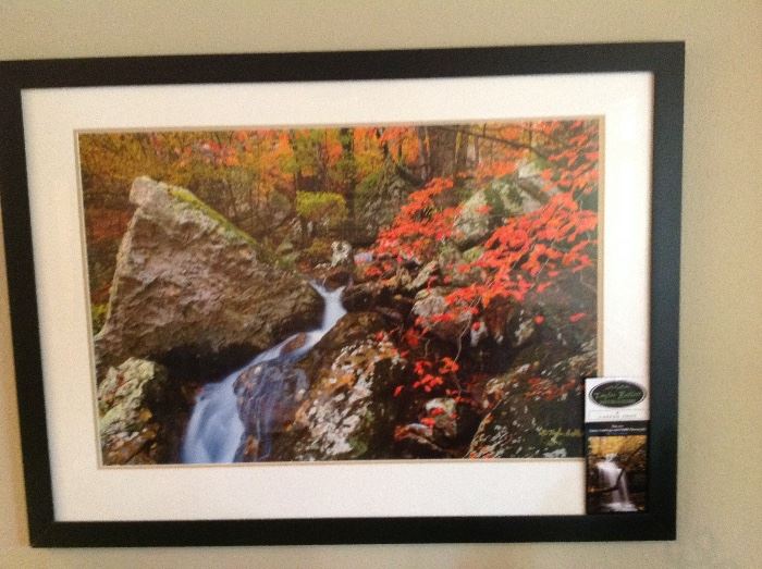 Taylor Bellot Photographer/Artist.  He has a gallery in downtown Hot Springs