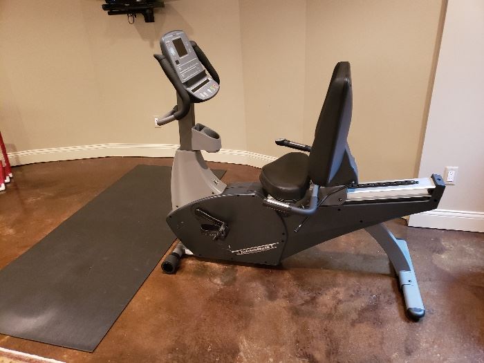 Recumbent bike purchased from American Home Fitness; see https://newlifecardioequipment.com/product/diamondback-1190r-recumbent-bike/ for product information; originally purchased for $1,400 available for $500