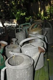 galvanized watering cans
