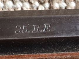25 cal. rem fire