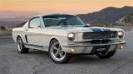 MUSTANG