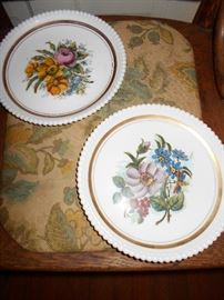 Painted plates