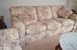 Sleeper Sofa and Love-Seat